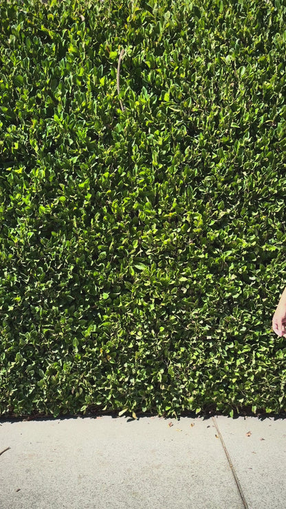 Star + Moon Crochet Bag - Purple and Black