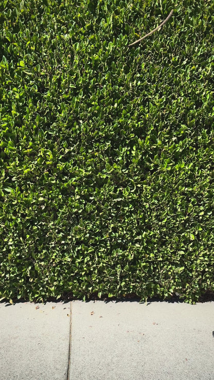 Star + Moon Crochet Bag - Blue and Gold